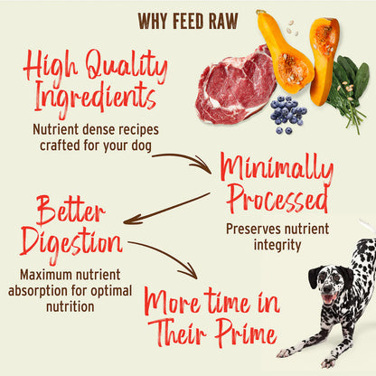 Primal Freeze Dried Beef Nuggets