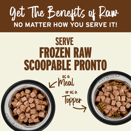 Primal Frozen Beef Scoopable Pronto for Dogs