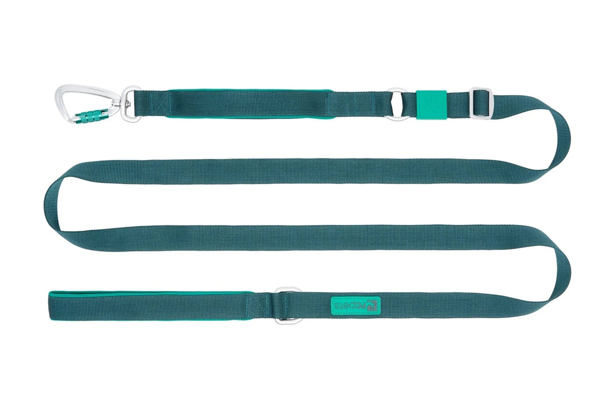 RC Pets 🍁 7ft Teal Stratus Leash