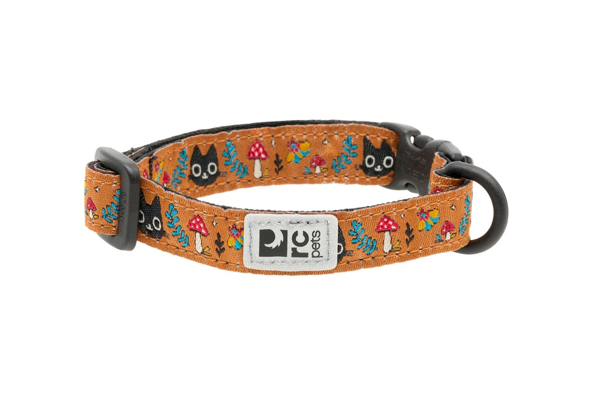 RC Pets🍁 Forager Kitty Breakaway Collar