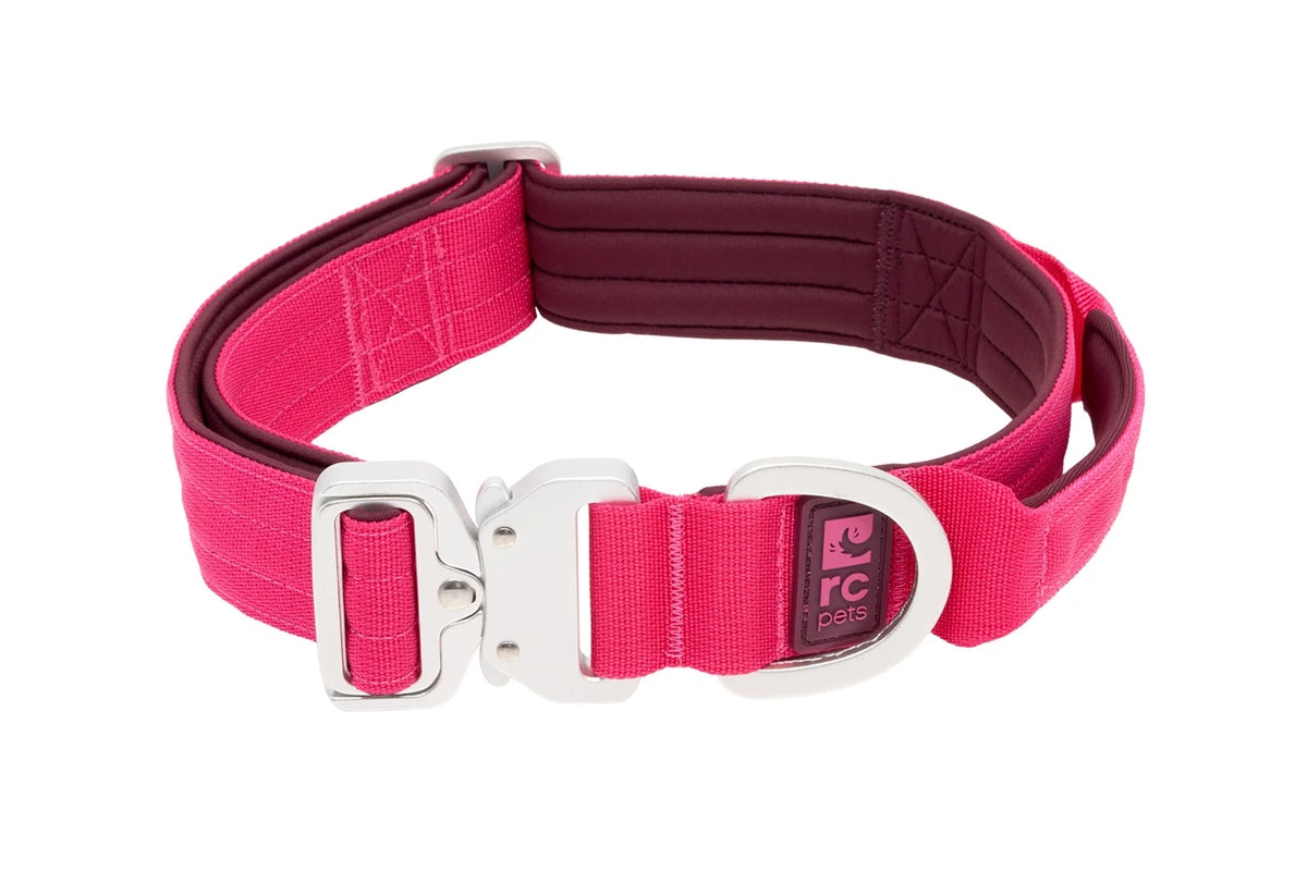 RC Pets 🍁Azalea Stratus Collar