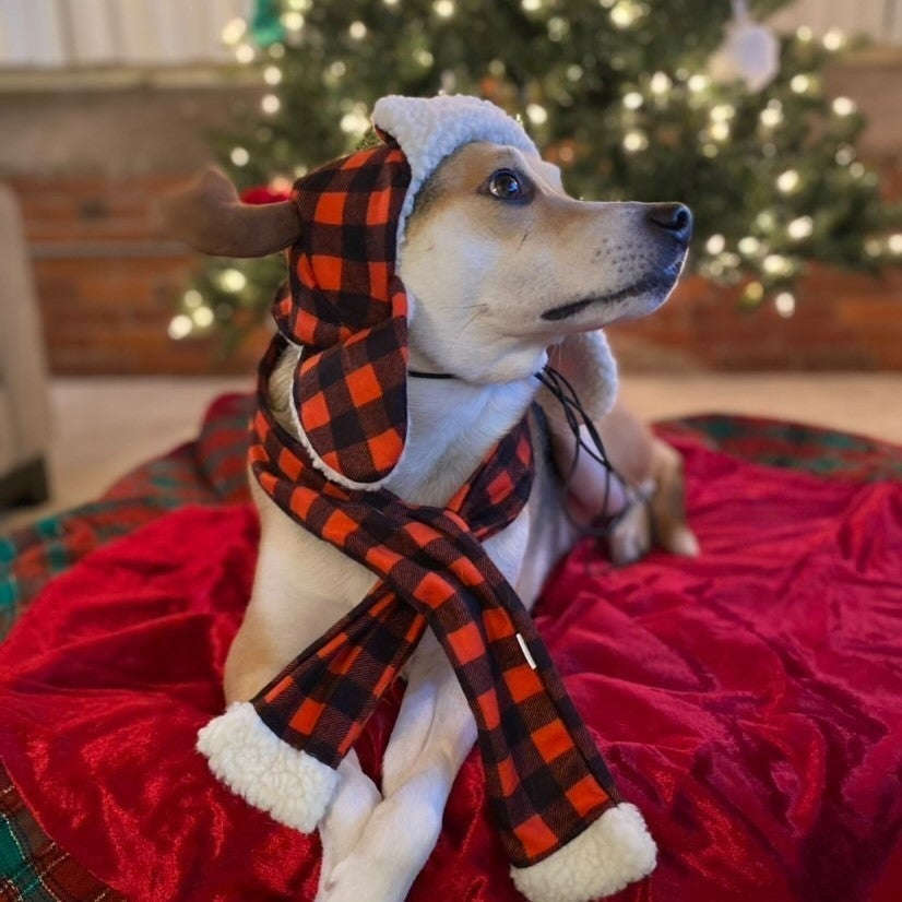 Huxley + Kent Buffalo Check Antler Hat with SnugFit®