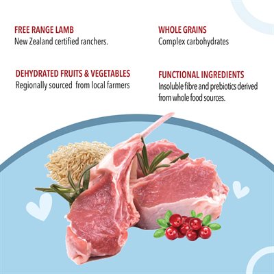 Harlow Blend 🍁Prime Lamb and Rice for Dogs