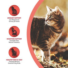 Harlow Blend🍁 Prime Chicken & Salmon for Cats