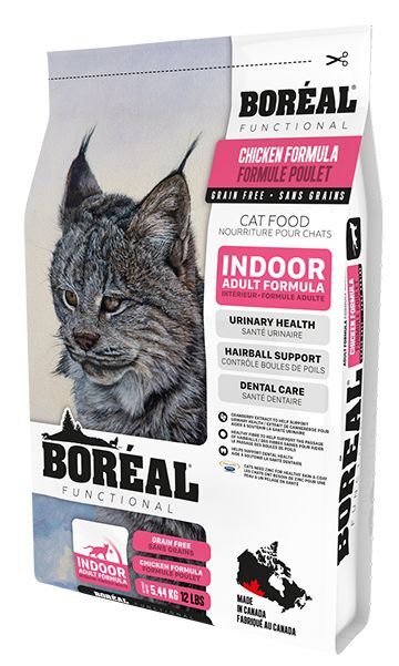 Boreal 🍁Functional Indoor Cat