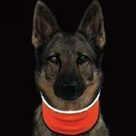 Muttluks 🍁ViziNek - Orange