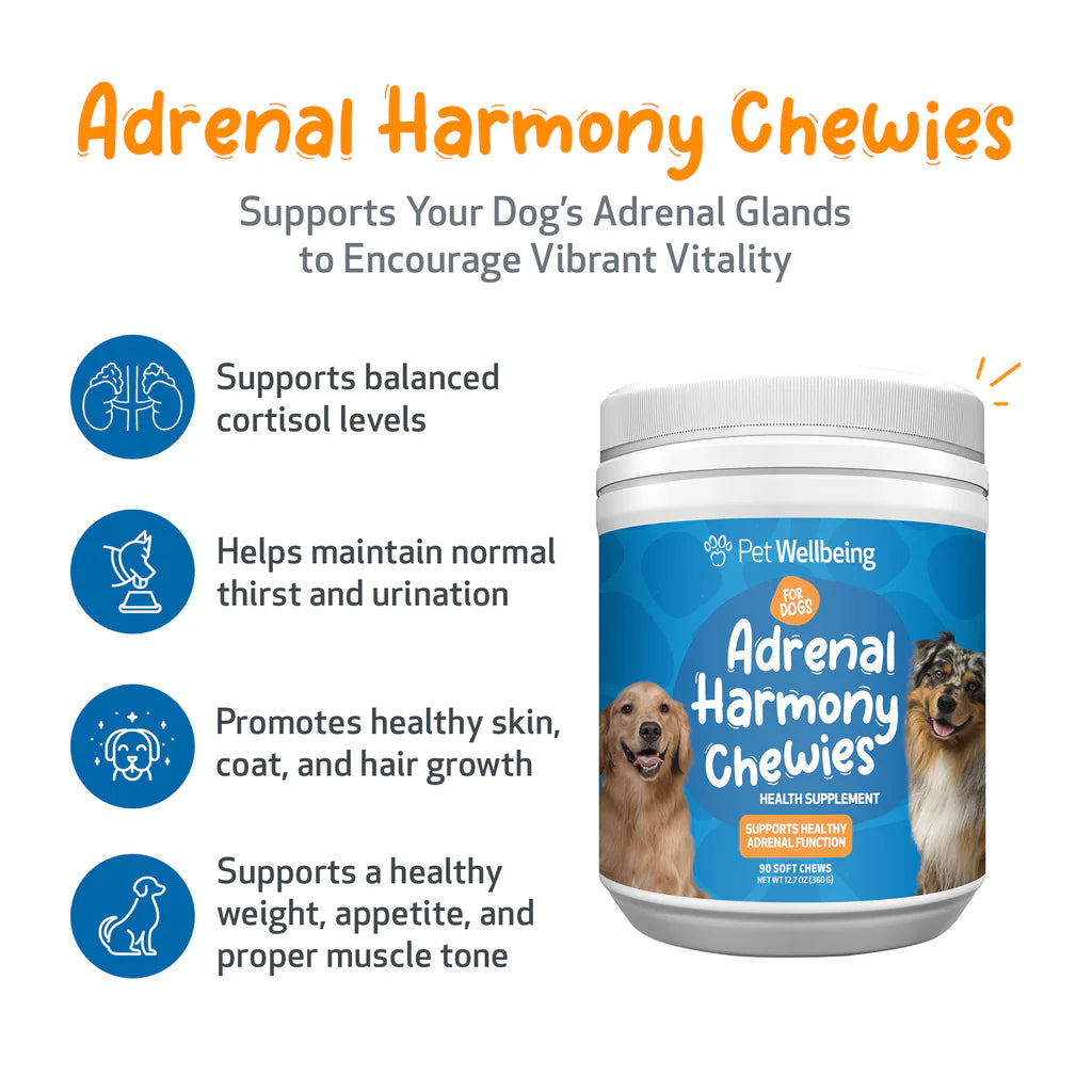 Adrenal Harmony Chewies - for Cortisol Balance and Adrenal Function in Dogs