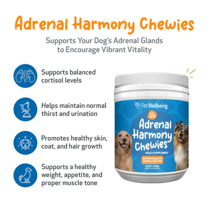 Adrenal Harmony Chewies - for Cortisol Balance and Adrenal Function in Dogs
