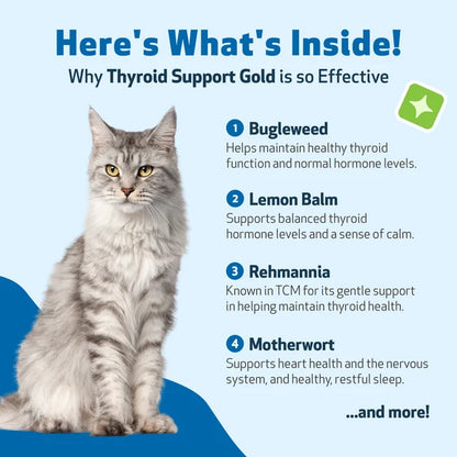 Thyroid Support Gold for Dogs & Cats by Pet Wellbeing