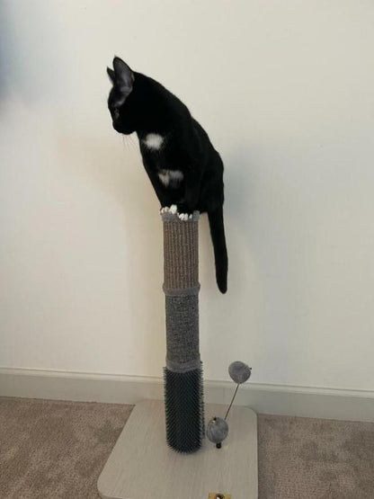 PetPals Group URBANE 5 Cat Post w/Toy