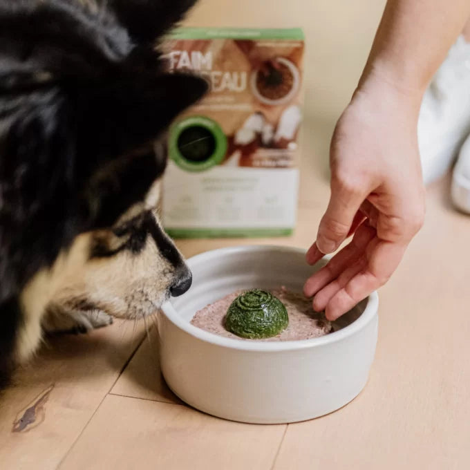 Faim Museau 🍁Healthy Delicacies Green Smoothie 6 x 30g  🍁