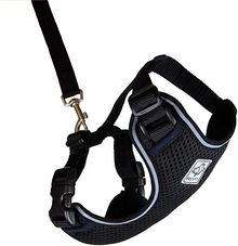 RC Pets 🍁Black Adventure Kitty Harness