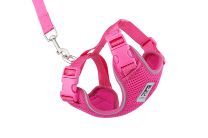 RC Pets🍁Raspberry Adventure Kitty Harness