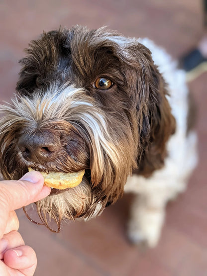 Icelandic+ Cod Fish Chips 2.5oz