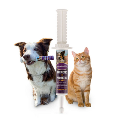 Companion's Choice🍁 Prebiotic Probiotic Paste for Dogs & Cats 30ml