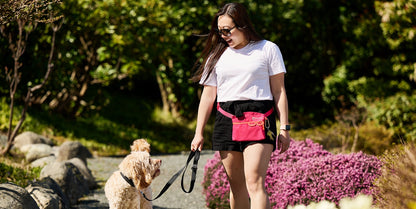 RC Pets🍁 Heather Black Quick Grab Treat Bag