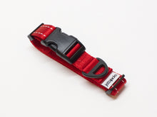 JettaJacks 🍁Red 1" Lay-Flat Martingale Collar
