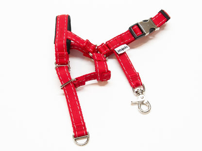 JettaJacks 🍁Canadian Red Ultimate Head Harness