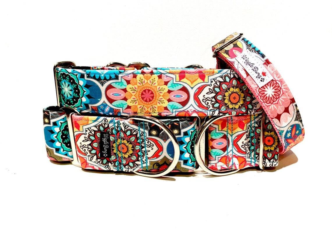 Wiggle Bumz 🍁Under The Tuscan Sky Clip Collar