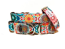 Wiggle Bumz 🍁Under The Tuscan Sky Clip Collar