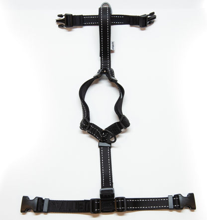 JettaJacks🍁 Coal Fluid Motion Harness