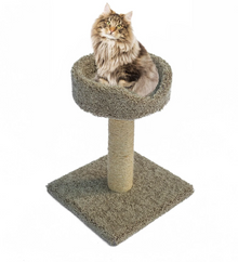 Wonderpet 🍁Sisal Scratch Post W/ Basket