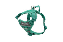 RC Pets🍁 Parakeet Green Momentum Control Harness