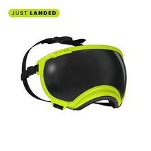 Rex Specs V2 Electric Lime Goggles for Dogs