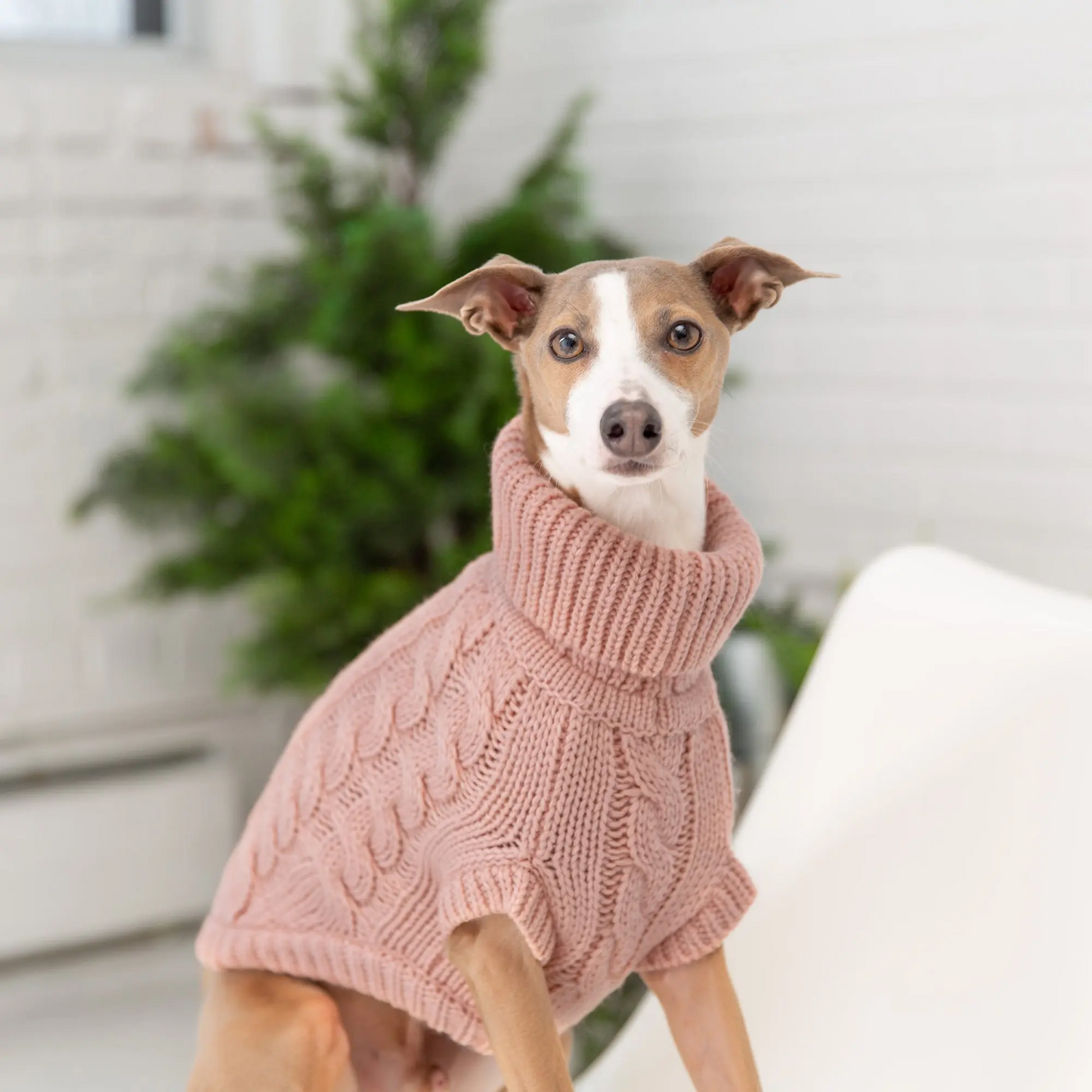 GF Pet 🍁Blush Pink Chalet Sweater for Dogs