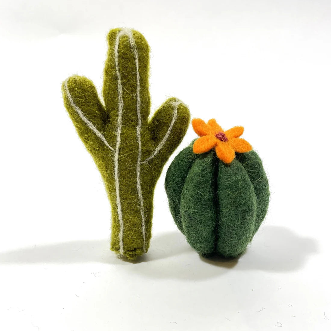 Karma Cat Succulents 2 Pack