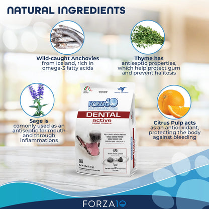 6LB Forza10 Oral Active Dog