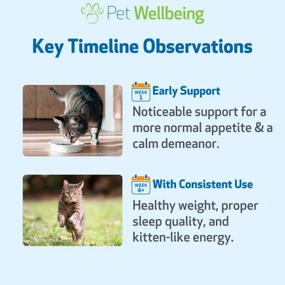 Thyroid Support Gold for Dogs & Cats by Pet Wellbeing