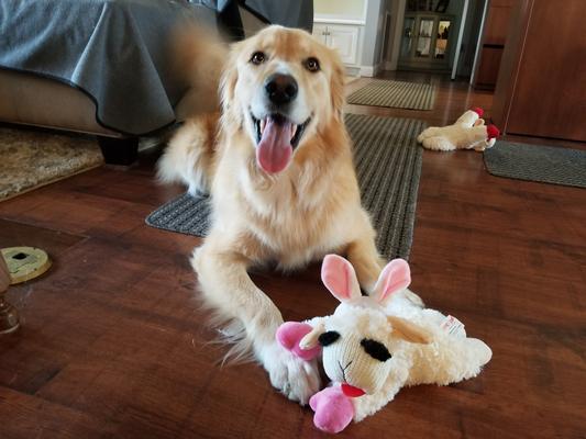 MultiPet Lambchop Easter Special Edition