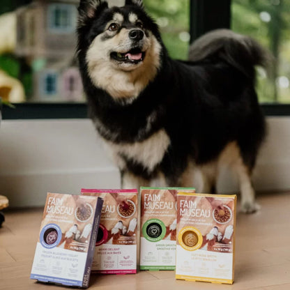 Faim Museau 🍁Healthy Delicacies Frozen Cozy Bone Broth 6 x 30g