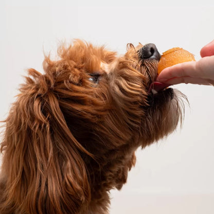 Faim Museau 🍁Healthy Delicacies Frozen Cozy Bone Broth 6 x 30g