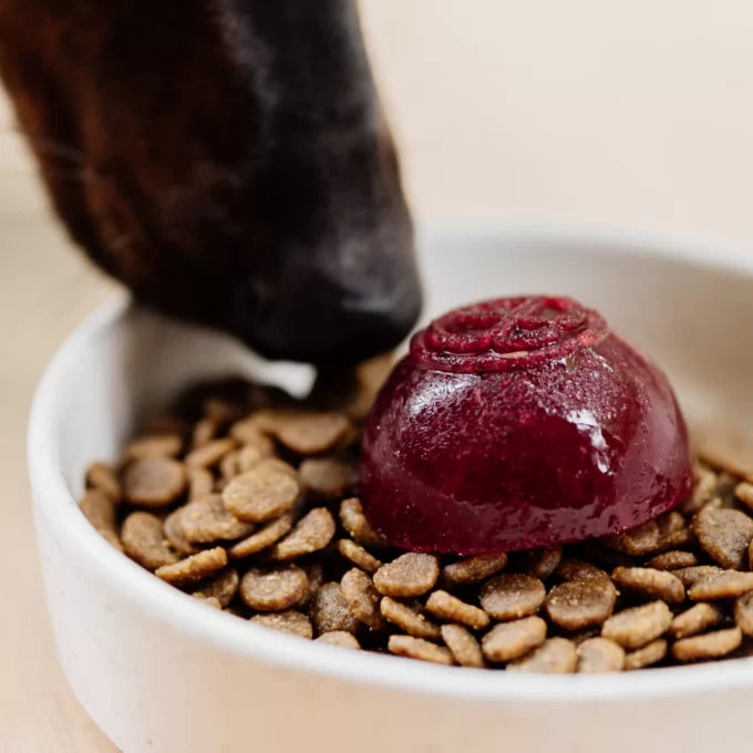 Faim Museau 🍁Healthy Delicacies Frozen Berry Delight 6 x 30g