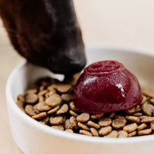 Faim Museau 🍁Healthy Delicacies Frozen Berry Delight 6 x 30g