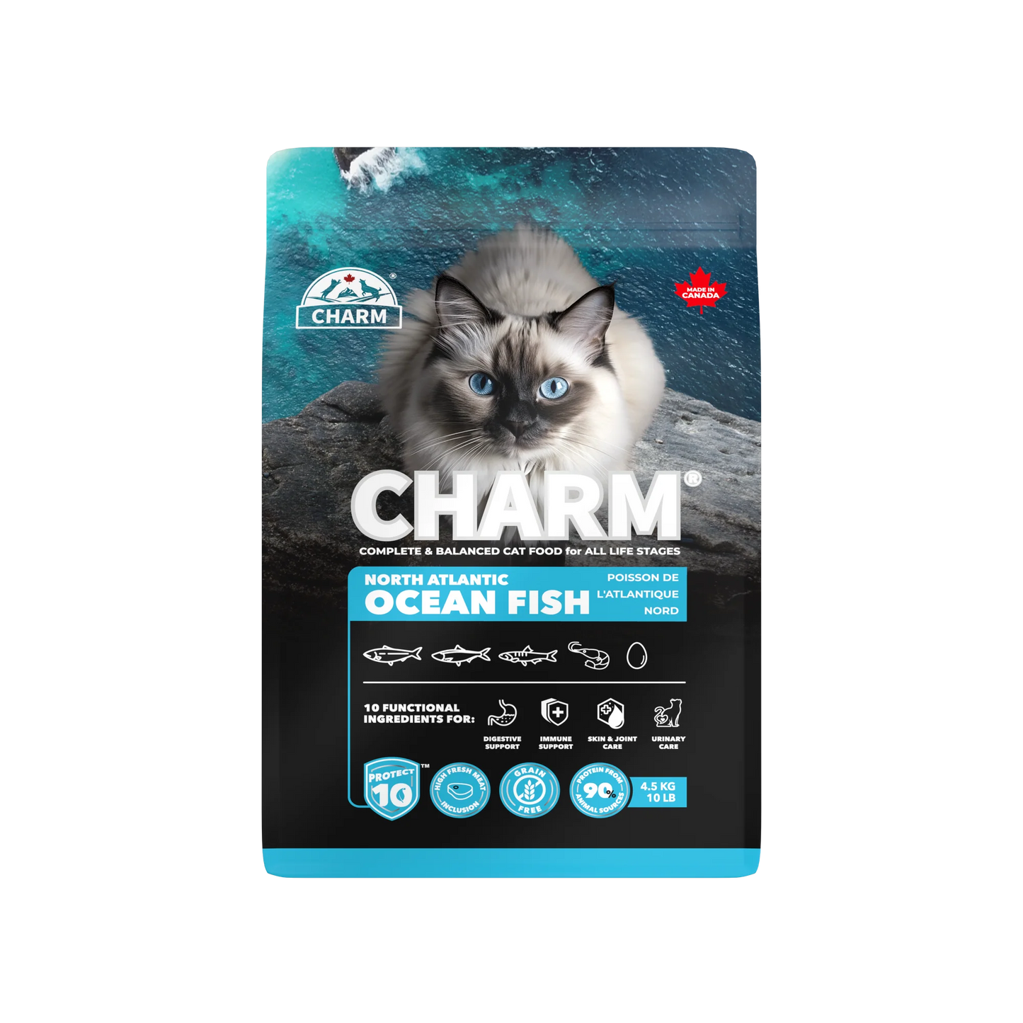 CHARM🍁 North Atlantic Ocean Fish for Cats & Kittens