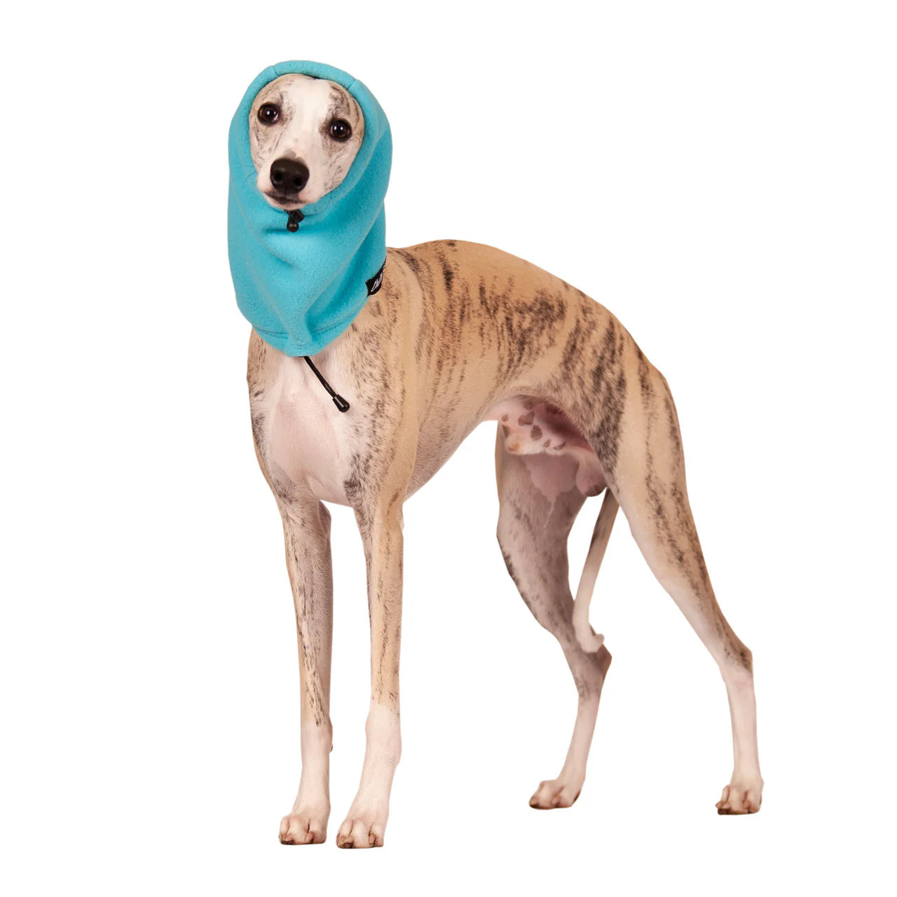 Chilly Dogs🍁 Arctic Blue Head Muff Dog Ear Warmer