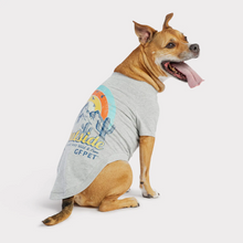 GF Pet Grey 🍁Fashion T-Shirt for Dogs