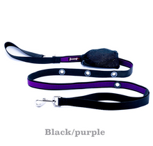 Smoochy Poochy 🍁Purple & Black Hands Free Leash