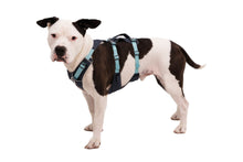 RUFFWEAR Basalt Gray Flagline Harness