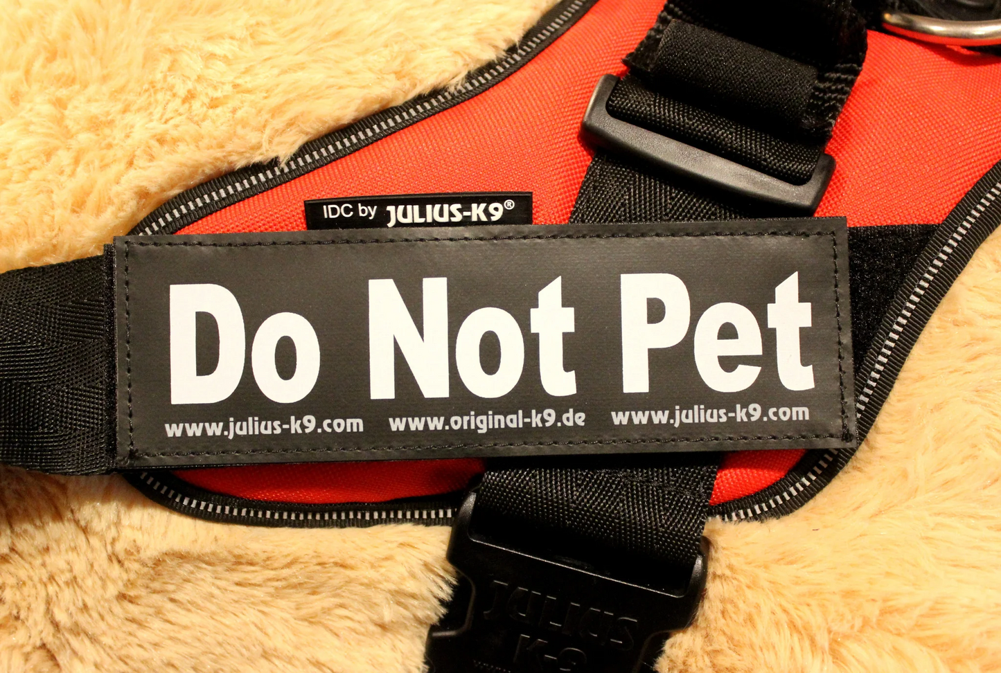 Julius K9🍁 Do Not Pet Patch