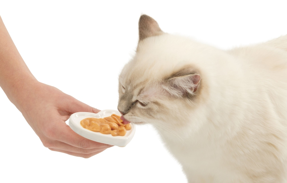 Catit 🍁Creamy Heart Dish