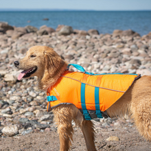 RC Pets🍁 Tidal Life Vest