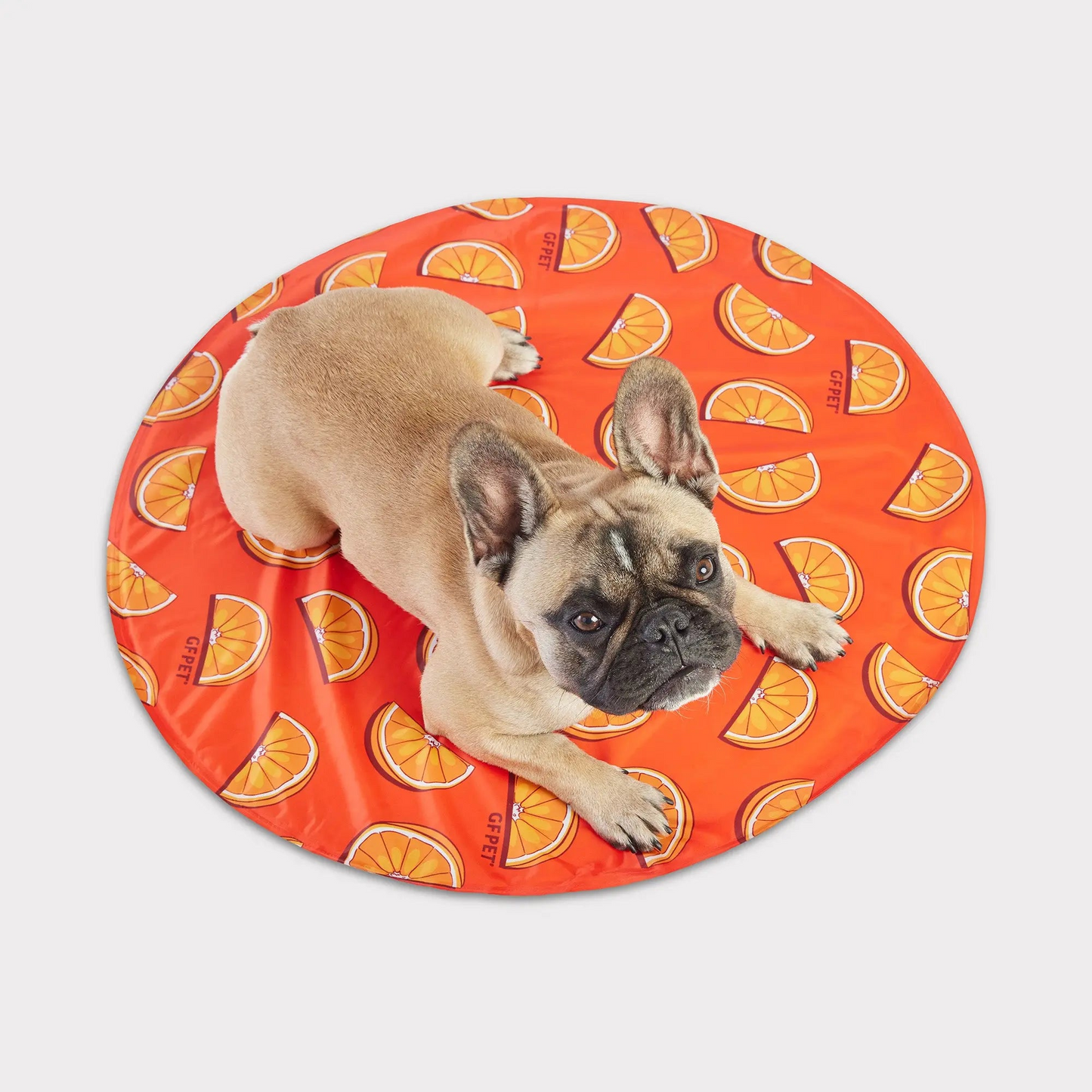 GF Pet 🍁Ice Mat in Orange Slices