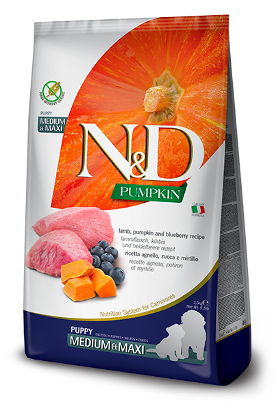 Farmina N & D  Puppy Med/Maxi Lamb, Blueberry & Pumpkin for Puppies 12KG
