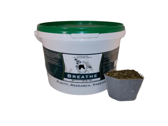Herbs for Horses 🍁Breathe No Garlic 1KG Mash ~25 days