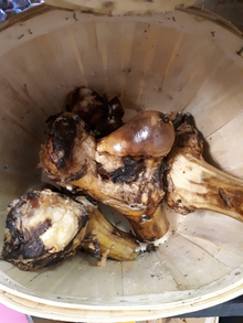 Artisan Farms 🍁Smoked Toma Hock Bone (1/2 Dino)