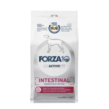 Forza10 Intestinal Active Dog